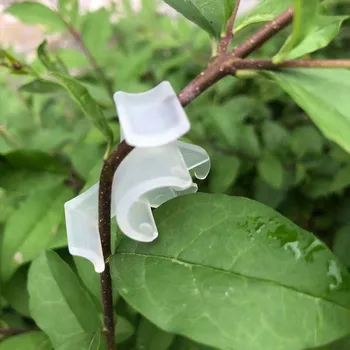 10 Adet Bitki Dalları Bender Klipleri Yeniden Kullanılabilir Plastik Düşük Stres Büyüme Kontrolü Bahçe Ev Pot Dekorasyon Eğitim Aksesuarı