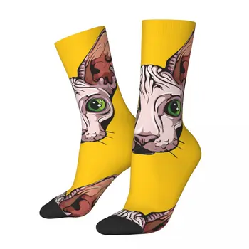 Komik Çılgın sıkıştırma Tek Renkli Çorap Erkekler için Hip Hop Harajuku Sphynx Tüysüz Kedi Sevimli Desen Baskılı Erkek Ekip Çorap